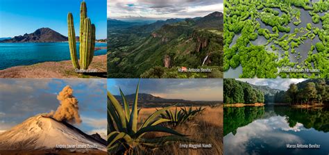 Capital Natural de México (segundo estudio de país) | Biodiversidad ...