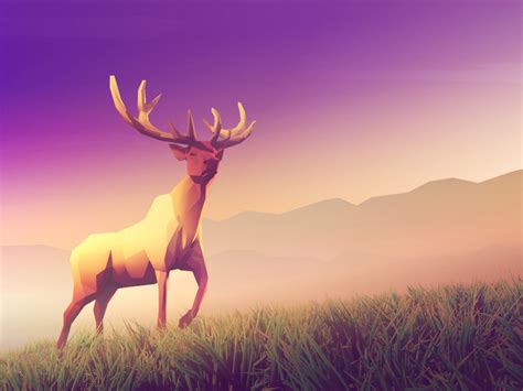 Low Poly - Animals on Behance