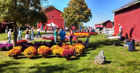 Fall Farm Fest at Lost Creek Reserve