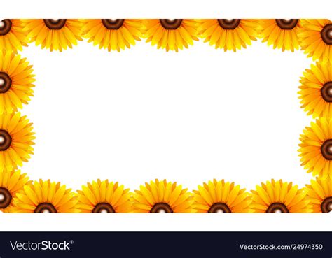 Free sunflower page borders for word - lasopaskills