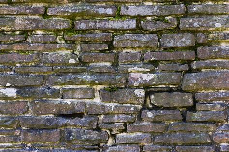 stone wall texture covered with moss - Photo #1565 - motosha | Free ...