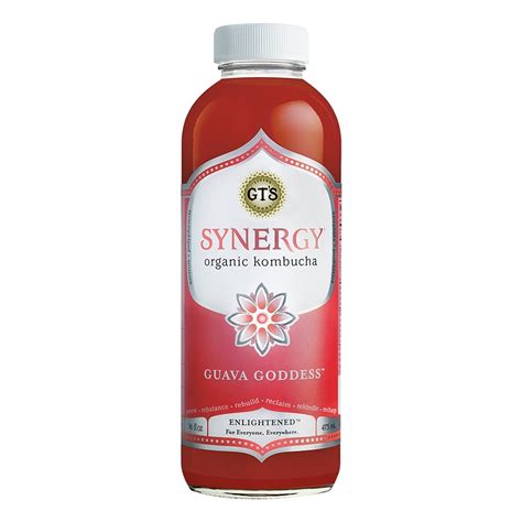 GT's Synergy Organic Kombucha Guava Goddess, 16 fl oz - Walmart Business