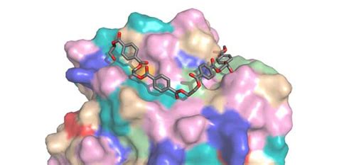 Newly Engineered PETase – An Enzyme Which Can ‘Eat’ Plastic | Evolving Science