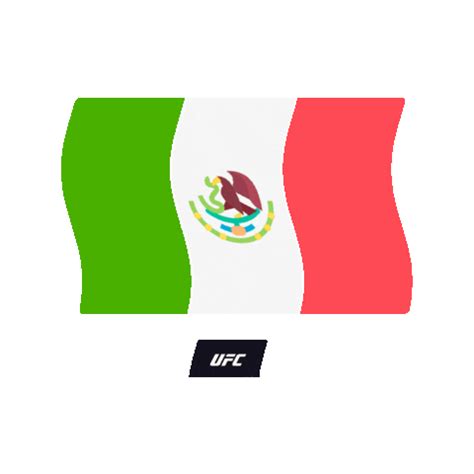 Mexico Flag Sticker by UFC
