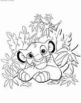 Coloring Pages Lion King  Disegni Da Colorare Disney sketch template