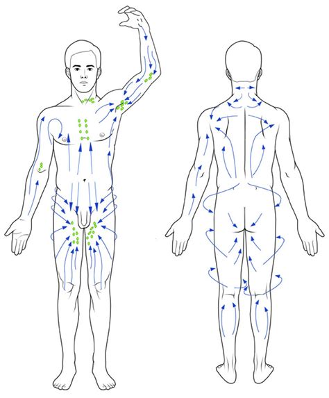 Lymphatic Drainage