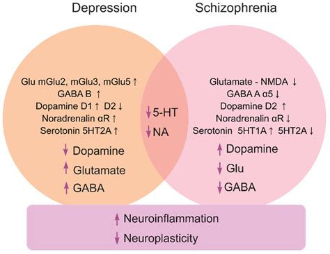 Atypical Antipsychotics Mechanism Of Action