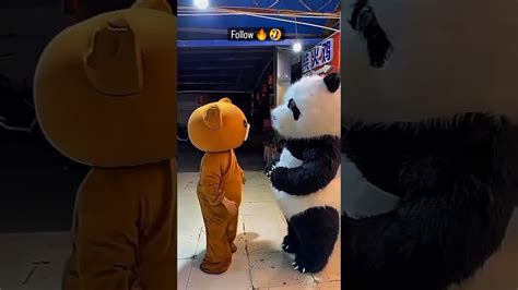 panda vs bear fight #shorts #funnyfighting #fight #funny #sorts #yt #comedy #viralvideo # ...