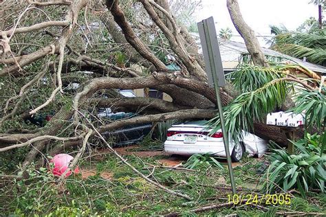 Hurricane Wilma - Aftermath - October 2005 | Hurricane wilma, Hurricane ...