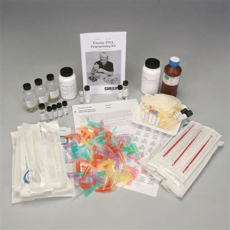 DNALC Forensic DNA Fingerprinting Kit | Carolina.com