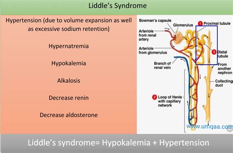 What is Liddles Syndrome?