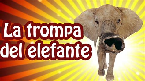 Cuanto Mide La Trompa De Un Elefante - Tesama