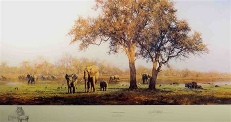 David Shepherd signed, limited edition, prints, luangwa evening, elephants, paintings