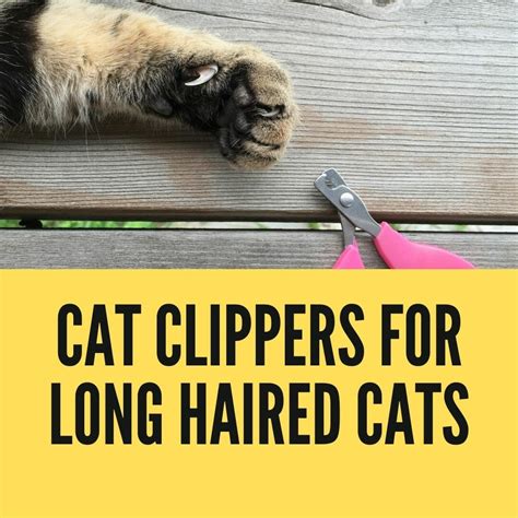 Cat Clippers for Long Haired Cats - Birman Cats Guide