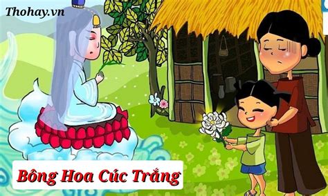 Tuyển Tập Hình Ảnh Hoa Cúc Trắng Siêu Đẹp - Hơn 999 Bức Ảnh Chất Lượng 4K