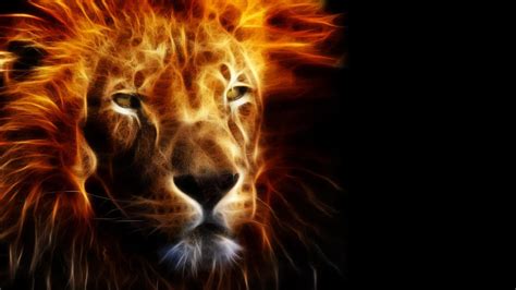 Lion Fire Wallpapers - Wallpaper Cave