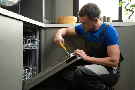 Can’t Open A Dishwasher Door— How to Troubleshoot - HowdyKitchen