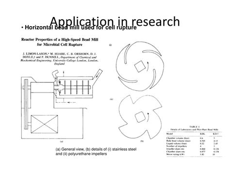 PPT - Cell Lysis and Disruption PowerPoint Presentation, free download ...