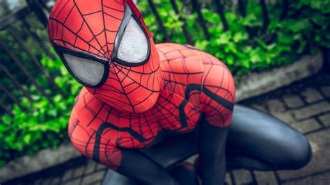 Stephen Ditko, le cocréateur de Spider-Man, est mort | ICI Radio-Canada.ca