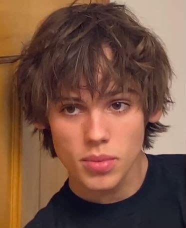 @bohemianrapcity on tiktok :): | Long messy hair, Messy short hair, Shaggy short hair