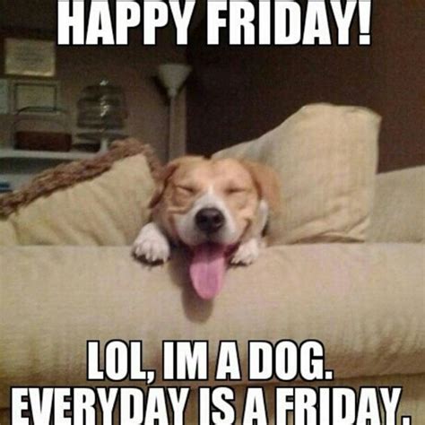 Happy Puppy Friday Meme