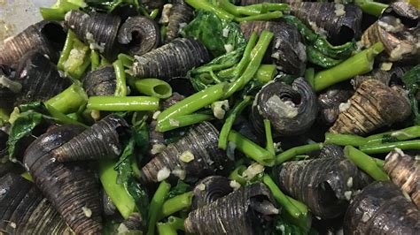 HOW TO COOK GINATAANG SUSO | SNAILS IN COCONUT MILK RECIPE | EXOTIC ...