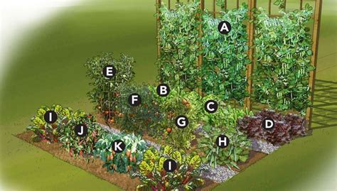 19 Vegetable Garden Plans & Layout Ideas That Will Inspire You | Small ...