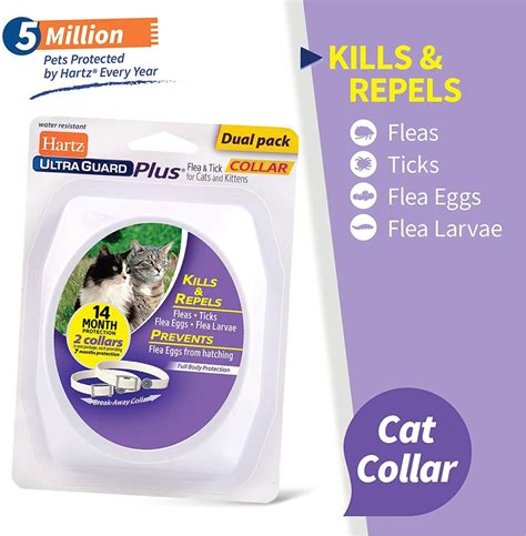 Best Flea Collars For Cat 2020: Reviews & Buyer’s Guide