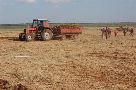 Idaho Farmer in Ethiopia: Some Highlights of November