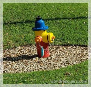 Fire Hydrant Color Code: What Do Hydrant Colors Mean?