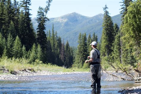 Montana Fly Fishing River Reports - Montana Hunting and Fishing Information