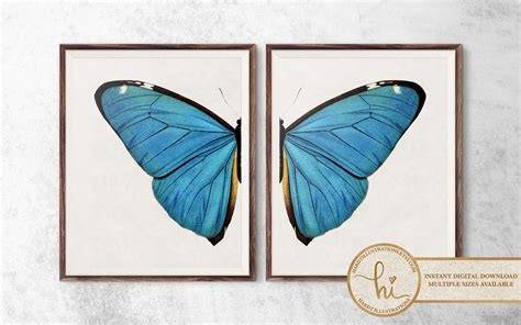 Drawing & Illustration Digital Living Room Decor Insect Art Watercolor Butterfly Printable Wall ...