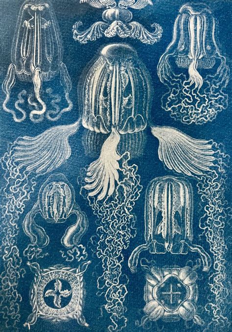 Cyanotype Printmaking Workshop - Exhibition at Acava Studios in London