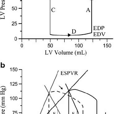 Panel a , illustration of a left ventricular pressure-volume loop of a... | Download Scientific ...