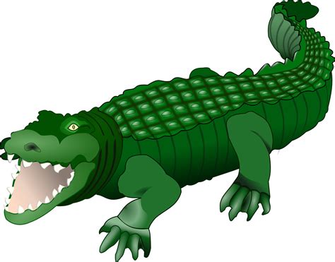 Clipart alligator cocodrilo, Clipart alligator cocodrilo Transparent FREE for download on ...