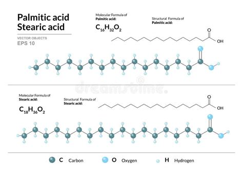 Palmitic Acid