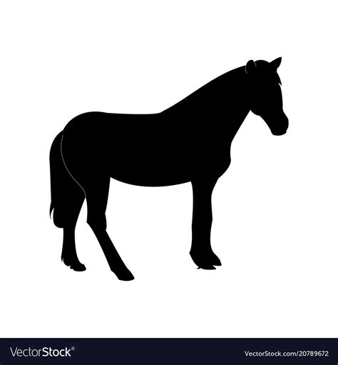 Silhouette of the horse black on a transparent Vector Image