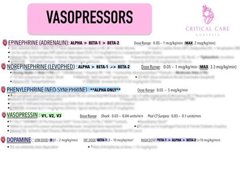 Vasopressor Reference Sheet/concept Map for ICU Nurses - Etsy