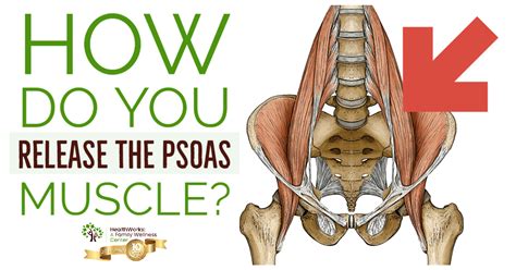 How To Release Psoas Muscle