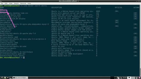 Install Docker on Raspberry Pi