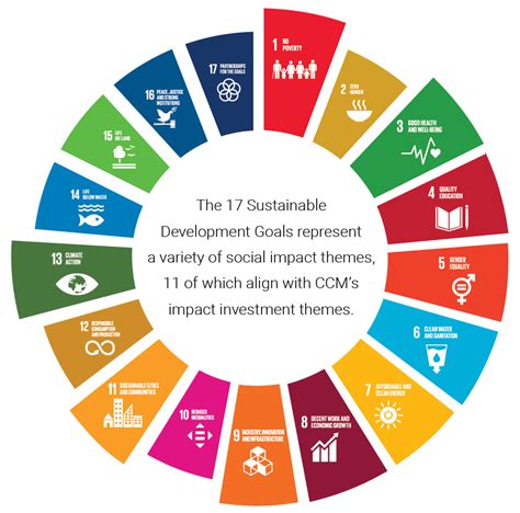 Aligning CCM's Impact Themes with the SDGs - Community Capital Management, LLC