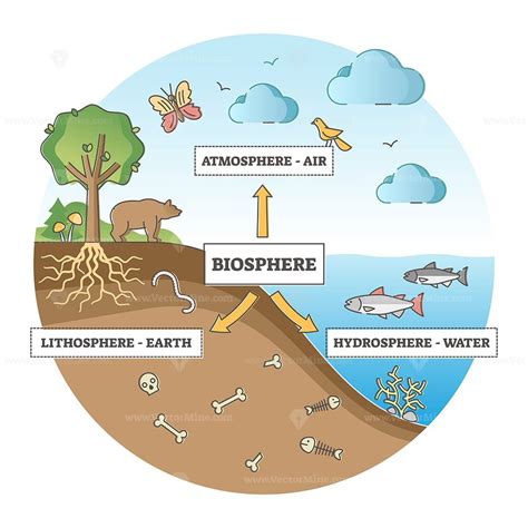 Description: Biosphere division with labeled ecosystem explanation scheme outline concept ...