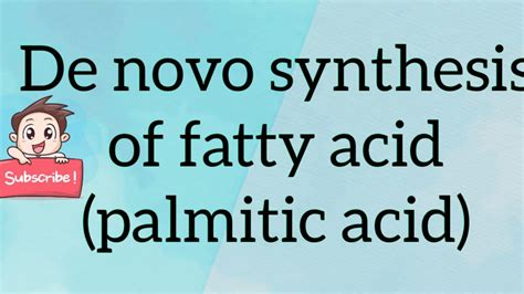 De novo synthesis of fatty acid (Palmitic acid) - YouTube