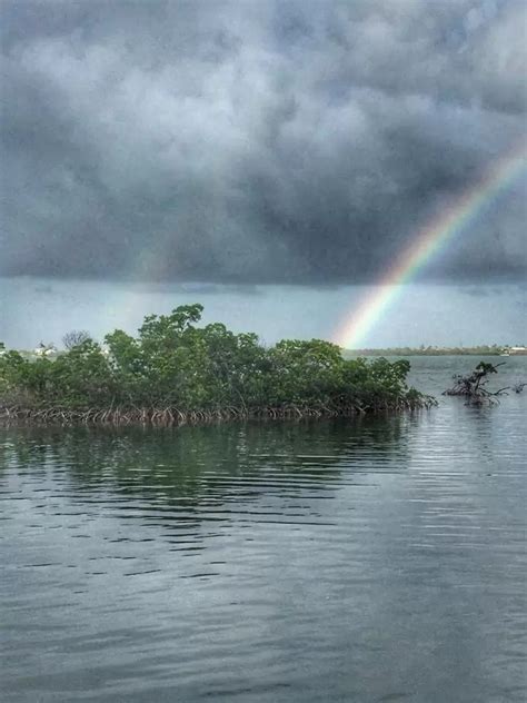 Where We Are — Florida Keys Wildlife Society