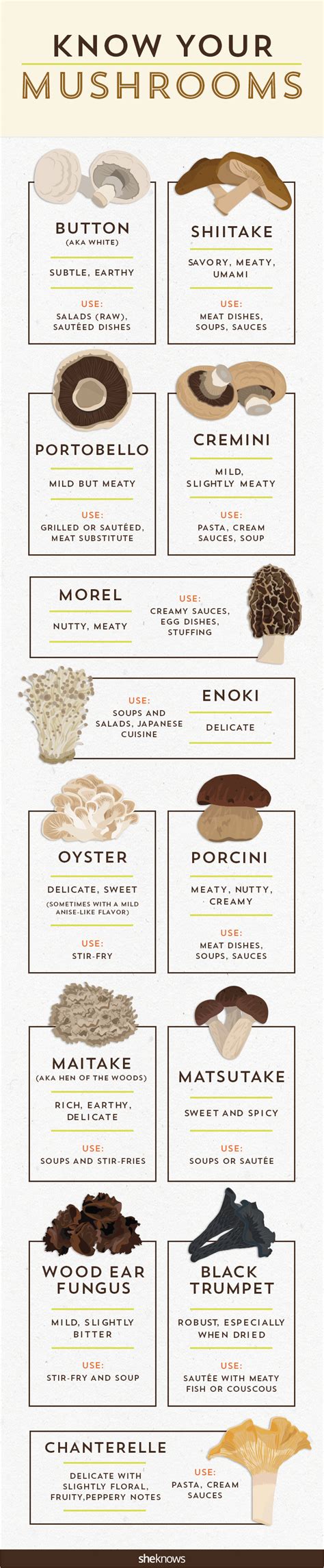 Cooking with mushrooms: Everything you need to know (INFOGRAPHIC)