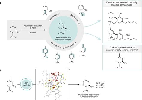 Catalytic asymmetric synthesis of cannabinoids and menthol from neral - TrendRadars