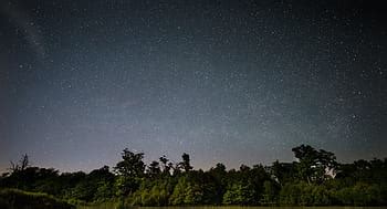 dark, night, sky, moon, trees, plant, nature, silhouette, tree, beauty in nature | Pxfuel