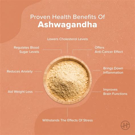 Ashwagandha - Benefits, Side Effects & How To Consume - HealthfiyMe