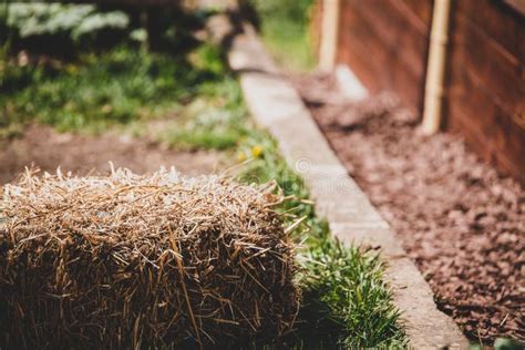 Garden with a Straw Bale, Mulch Alternative Stock Photo - Image of ...