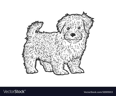 Cute and fluffy puppy sketch scratch board Vector Image